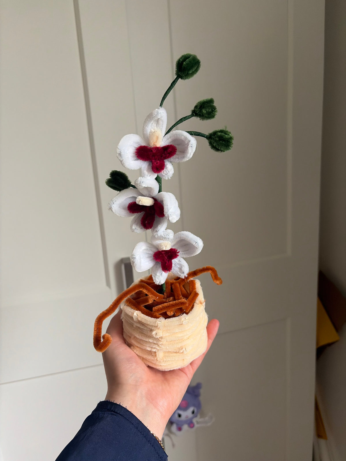 Orchid